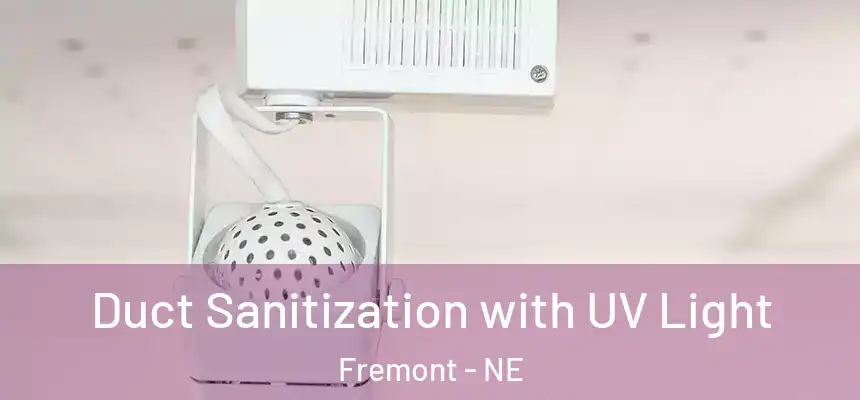  Duct Sanitization with UV Light Fremont - NE