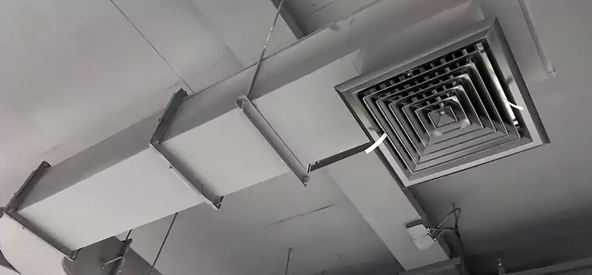 Restorative Allergy Relief Vent Cleaning – Coil, Blower & Housing Detail in Fremont