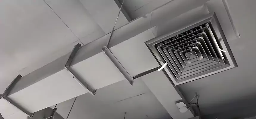 Our Pest Removal From Ducts Services in Fremont, NE