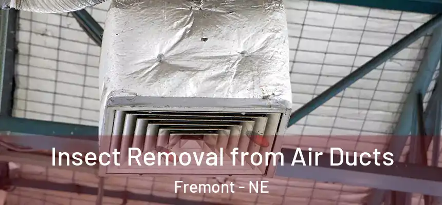 Insect Removal from Air Ducts Fremont - NE