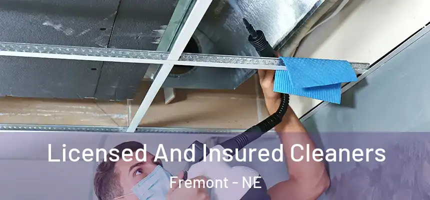 Licensed And Insured Cleaners Fremont - NE