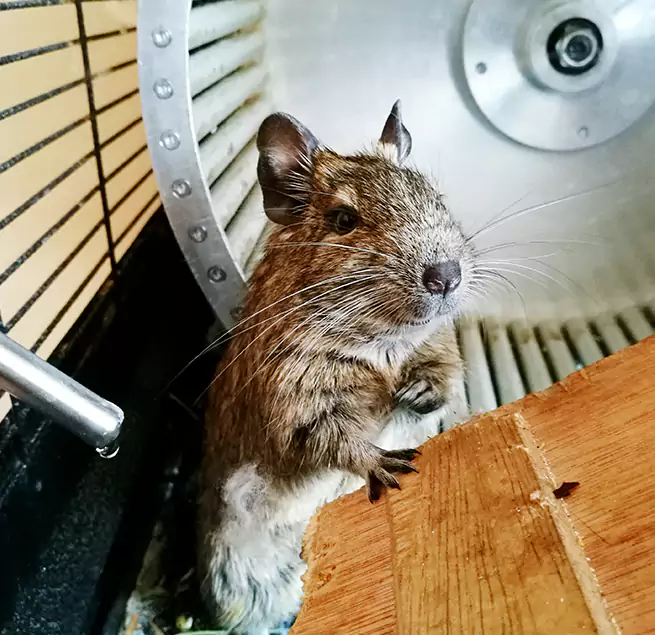 Why Homeowners & Businesses Trust Us Fremont, NE?