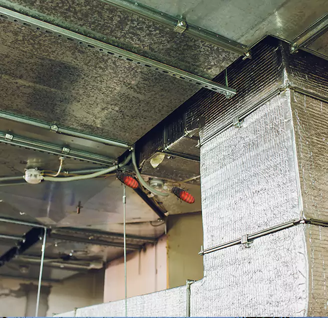 Why Homeowners & Businesses Trust Us Fremont, NE?