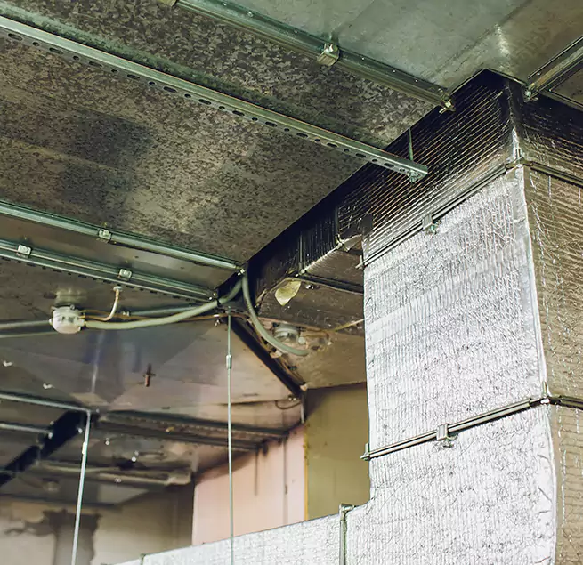 Why Homeowners & Businesses Trust Us in Fremont, NE?